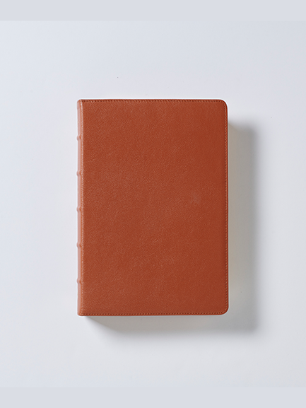 RVR 1960 Coleccion Premier