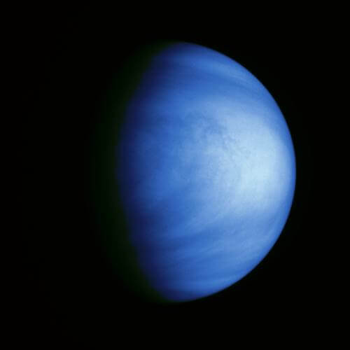 venus