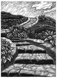 Mere Christianity in spanish