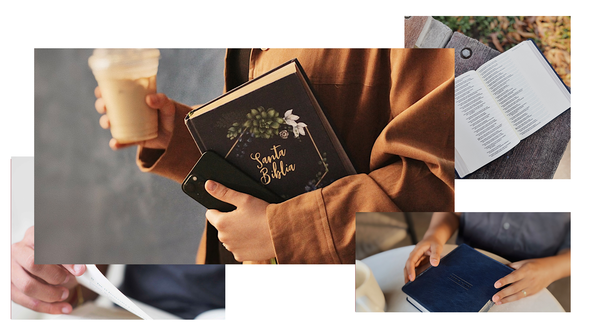 portal editorial vida