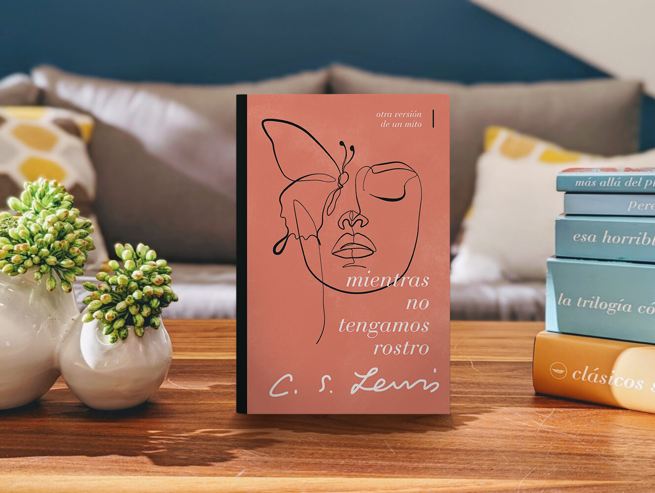 novedades-mientrasnotengamosrostro